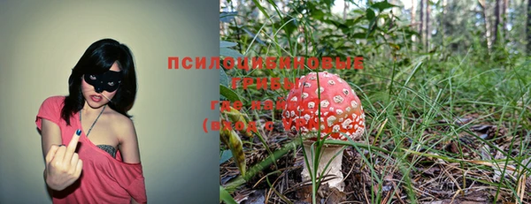 кристаллы Абаза